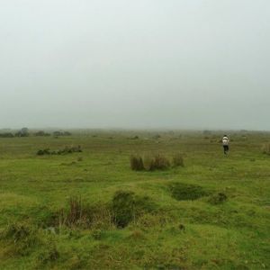 Meet your Posher, Dinelle